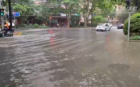 现场直击丨多方联动排险 上海全力迎战台风“白海豚”